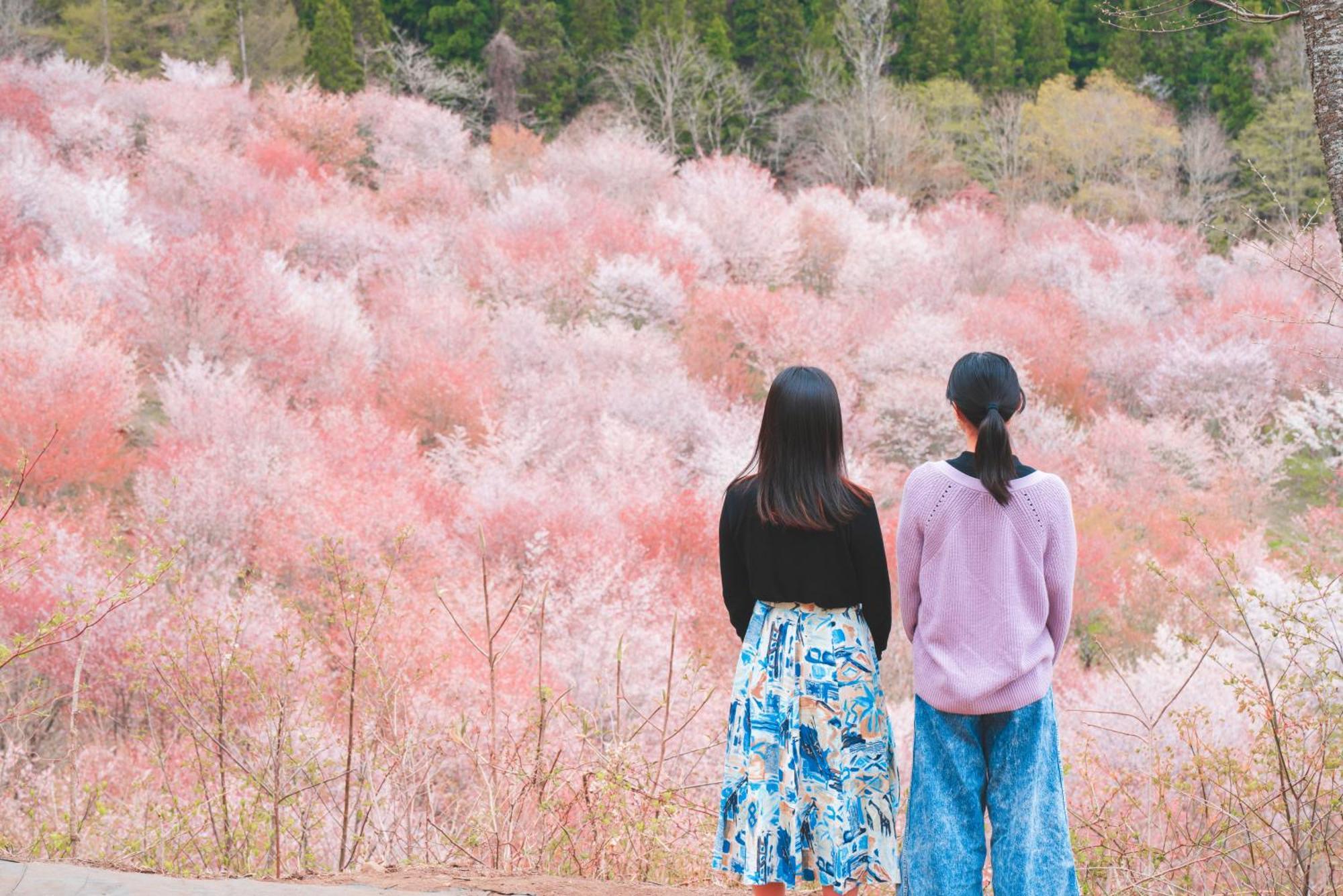Urabandai Lake Resort Geihinkan Nekoma Rikyu Kitashiobara Exterior foto