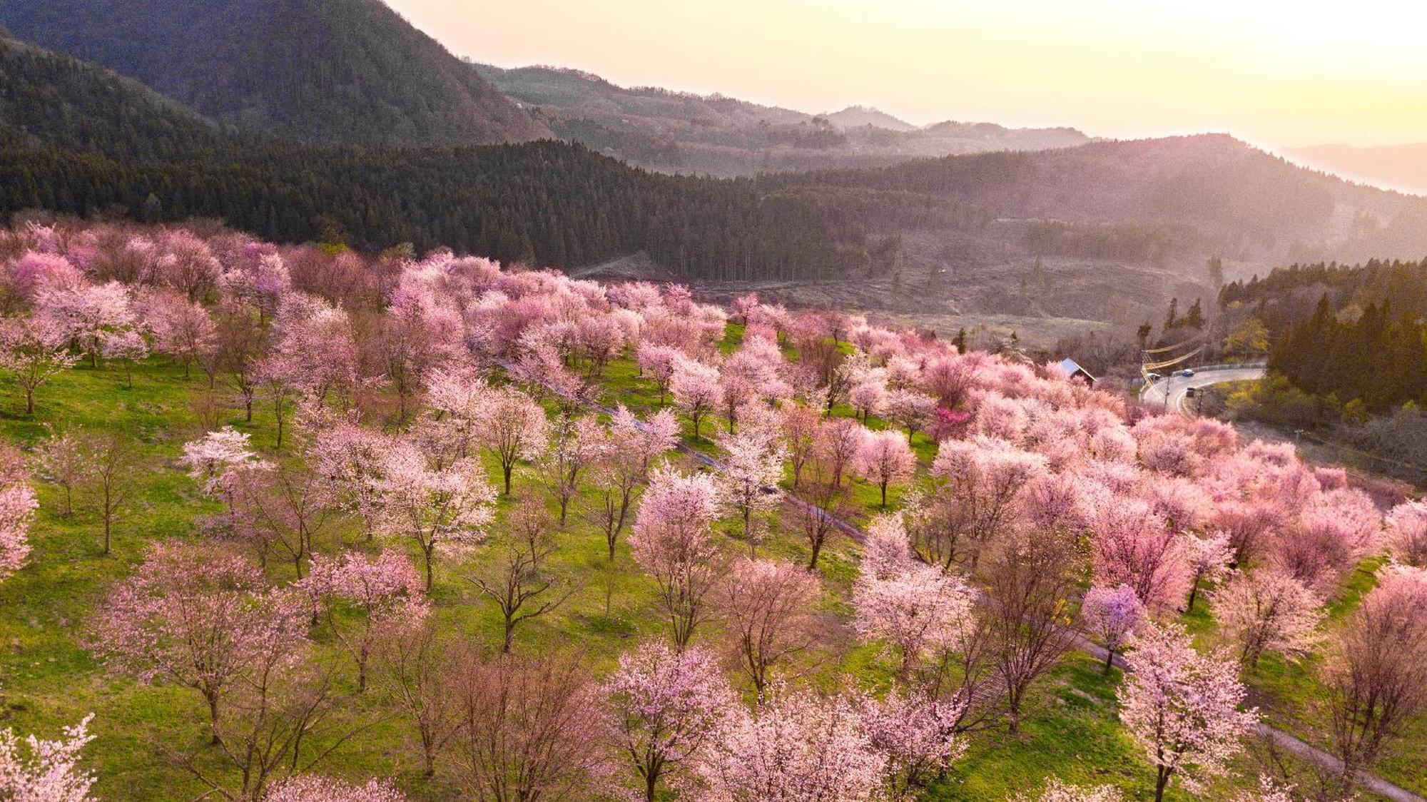 Urabandai Lake Resort Geihinkan Nekoma Rikyu Kitashiobara Exterior foto
